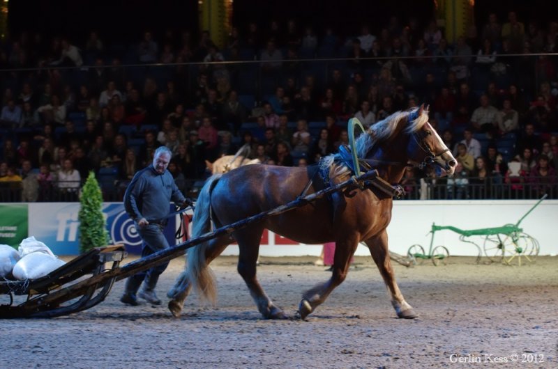 Horse Show 07.10.2012
